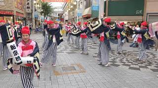 まちなかよさこい　京町・新京橋ゑびすしばてん連　帯屋町1丁目商店街