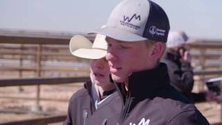 Wildorado Cattle Company