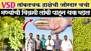 🍇द्राक्ष बागायतदार धोडमाळ यांच्या शेतातील VSD grapes च्या मण्यांची विक्रमी लांबी पाहून थक्क व्हाल 😳👌