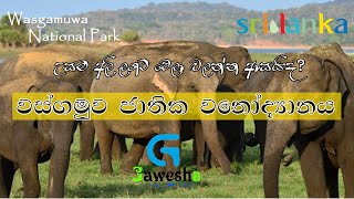 wasgamuwa වස්ගමුව ජාතික උද්යානය