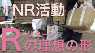 【TNR活動】R(リターン)の理想の形