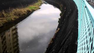 Leaves flowing through the river Osaka　川を流れる葉っぱ　大阪