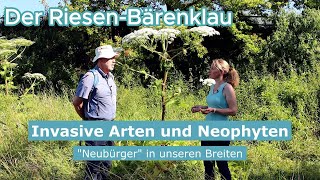 Mache mit! Invasive Arten - der Riesen-Bärenklau (Herkulesstaude)