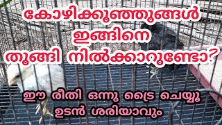 തൂക്കം വന്ന കോഴിക്കുഞ്ഞിനെ എങ്ങിനെ പരിചരിക്കാം. Treatment given to sick chicks.