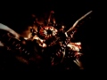 biohazard 0 hd intro exclusif jap version resident evil