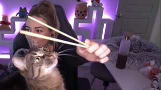 Chopsticks vs Milo
