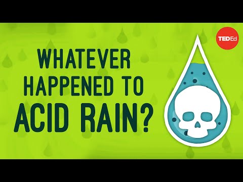 How do you use acid rain in a sentence?