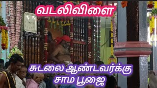 வடலிவிளை சுடலை ஆண்டவர்க்கு சாம பூஜை