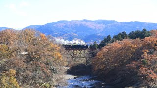 秩父鉄道 SLパレオエクスプレス 秩父夜祭号 2019年12月3日