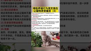 哪些养猫行为其实是在让猫咪承受痛苦 #猫 #猫咪 #萌宠出道计划 #萌宠 #养猫 #cute #cat #pets #宠物