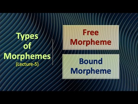 What are the 3 types of morphemes?