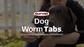 Provide 4-Way Protection With Durvet Dog Worm Tabs