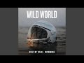 Wild World