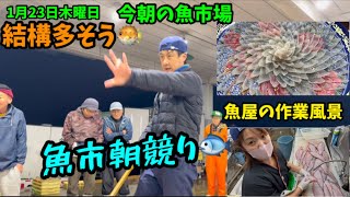 【結構多そう】【魚屋の作業風景】【魚市朝競り】今朝の魚市場1月23日木曜日の水揚げ状況