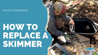 The Ultimate Guide on How to Replace a Skimmer | Koi Fish Pond | Installing an Aquascape Skimmer