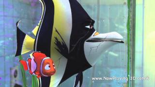 Finding Nemo 3D "Gil and Nemo"