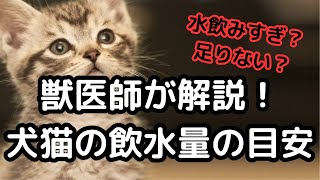 犬と猫の飲水量チェック法と目安と注意点！水の飲みすぎ・少なすぎは危険！獣医師解説！ #犬 #猫 #獣医 #犬 #愛犬 #猫好きさんと繋がりたい #いぬのいる生活 #猫のいる暮らし #いぬ #かわいい犬