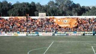 DALE COBRELOA.Por Mundoloino.cl