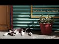 Dub Techno Session - Spring Edition #6