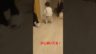 生後292日目❗️祝い㊗️急に少し歩き始めました😭#新生児#乳幼児#赤ちゃん#ハイハイ#ヨチヨチ#歩く