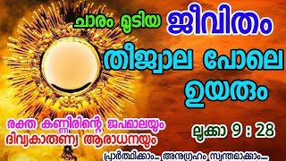 ചാരം മൂടിയ ജീവിതം തീജ്വാല പോലെ ഉയരും: ദിവ്യകാരുണ്യ ആരാധനയും ജപമാലയും