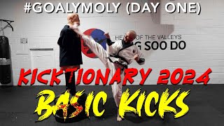 Goaly Moly Kicktionary  Sunday Episode 1 (Basic Kicks)