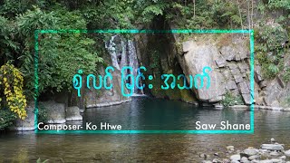 Abundant Life ( Sone Lin Chin Athet ) စုံလင်ခြင်းအသက် by Saw Shane Official Lyrics Video