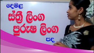 දෙමළ භාෂාවේ ස්ත්‍රී ලිංග පුරුෂ ලිංග පද | linga bedaya tamil | tamil with sureka