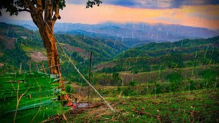 ที่สุดแห่งการนอนไร่ บนเชิงเขาสูงฝนตกชุ่มฉ่ำ ทะเลหมอกสวยมาก [วรวิช]