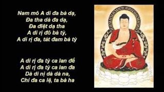 🪷🙏 UY LỰC CỦA THẦN CHÚ VÃNG SANH…