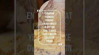 🌾 Incredible Canadian Farming Facts! 🚜💼