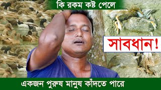 সাবধান! আপনার হাঁস খামারেও হতে পারে এমন সর্বনাশ || Duck Farming || Khamar Bangla 24.