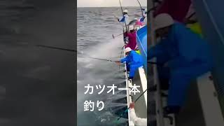 カツオの一本釣り