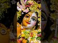 प्रभु प्रेम बनाए रखना 🙏🌹 ytshorts radhekrishnaa🙏🌹 radheradhe🙏🌹 krishnastatus 🙏🌹 krishnabhajan 🙏