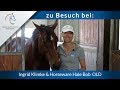 Zu Besuch bei: Ingrid Klimke & Horseware Hale Bob OLD