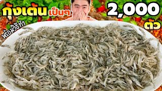 กินกุ้งเต้น 2,000 ตัว สดๆ เป็นๆ เด้งดึ๋ง พร้อมวิธีทำก้อยกุ้งเต้น | ดมข้าว