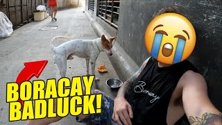 Boracay Trip Gone Wrong: Losing a Dog and Finding Redemption | Philippines 🇵🇭