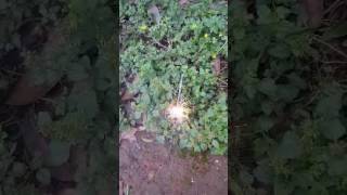 Double Effect Firework Sparkler - Burns Down Then Up