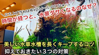 水草水槽がだんだんダサくなるのはなぜ？「格好良いレイアウトを長く維持する方法」ADAネイチャーアクアリウムの立ち上げ方、作り方、東京のADA特約店、水景、アクアリウム、構図、流木レイアウト、石組水槽