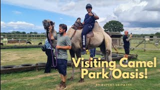 Visiting Camel Park Oasis by Rupert Sripathy