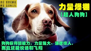 狗狗意外获得超能力，却甘愿放弃超能力换取主人安全【超狗侠】