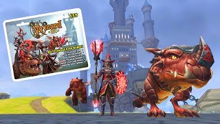 Wizard101: NEW BATTLEMAGE KEEP BUNDLE!