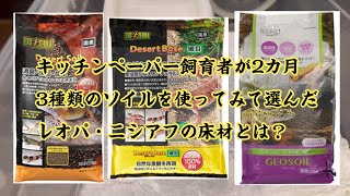 キッチンペーパー飼育者が2カ月間3種類のソイルを使ってみて選んだレオパ・ニシアフの床材はこれでした！