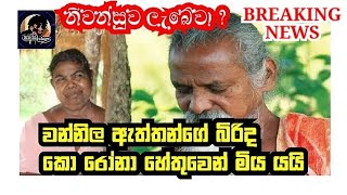 වන්නිල ඇත්තන්ගේ බිරිදත් කෝ නාට බිලිවෙයි | Breaking news |Sinhala | Srilankan