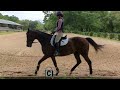 Dressage Intro Test B. April 16, 2023