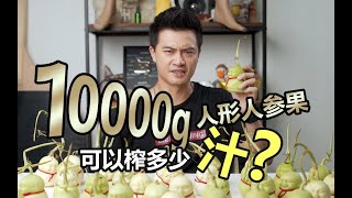 尝试把10000g人形人参果榨干后，看看到底能有多少汁？