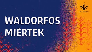 Waldorfos miértek