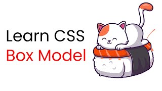 Learn CSS Box model with Examples ✨ || CSS 2021