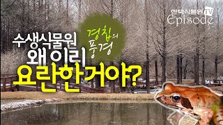 [한택식물원 Episode] 경칩풍경, 수생식물원 왜 이리 요란한거야?