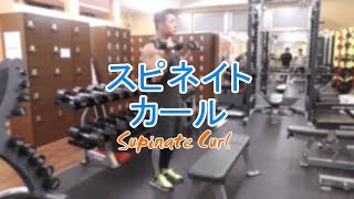 スピネイトカール（Supinate Curl）のやり方とフォーム